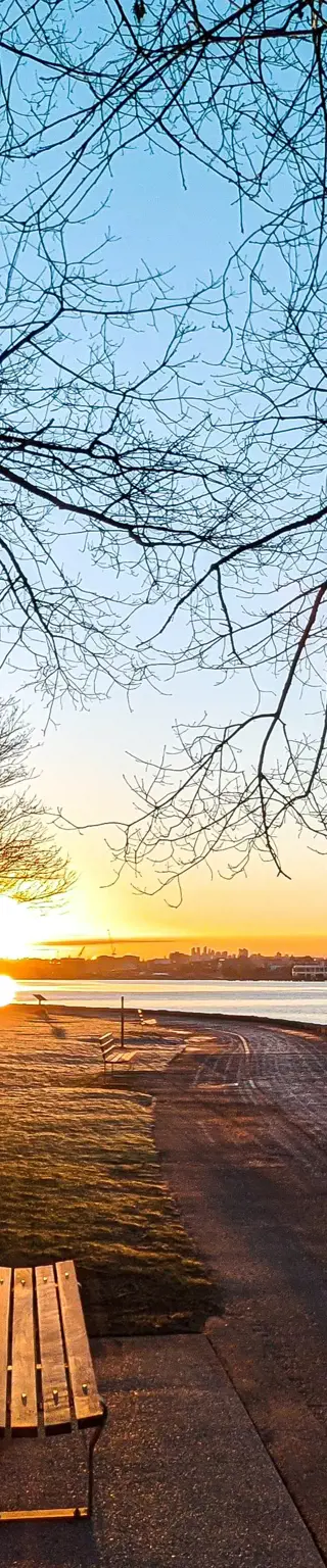 Fahre mit dem Velo durch den grünen Stanley Park